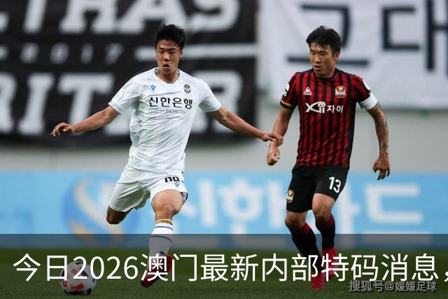 今日2026澳门最新内部特码消息，第295期新六合彩精准特码资料推荐，新门澳内幕三中三预测，一肖一码精准资料
