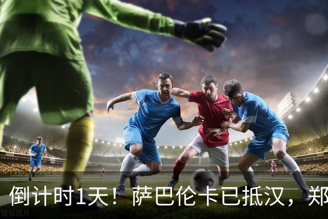 倒计时1天！萨巴伦卡已抵汉，郑钦文也要来了，2026武网观赛全攻略→