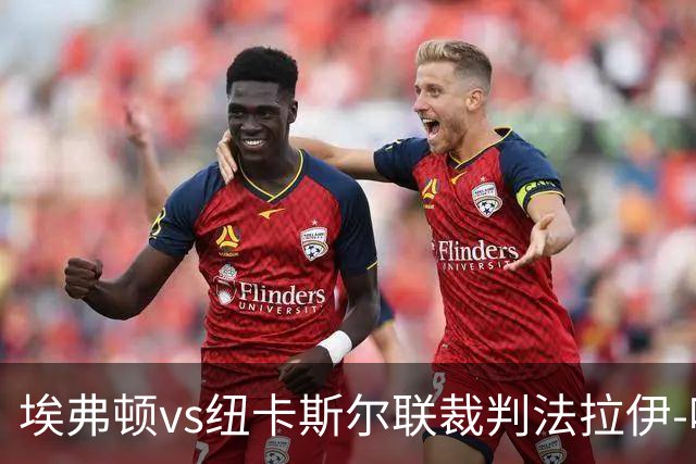 埃弗顿vs纽卡斯尔联裁判法拉伊-哈勒姆数据：近20场0红66黄6点