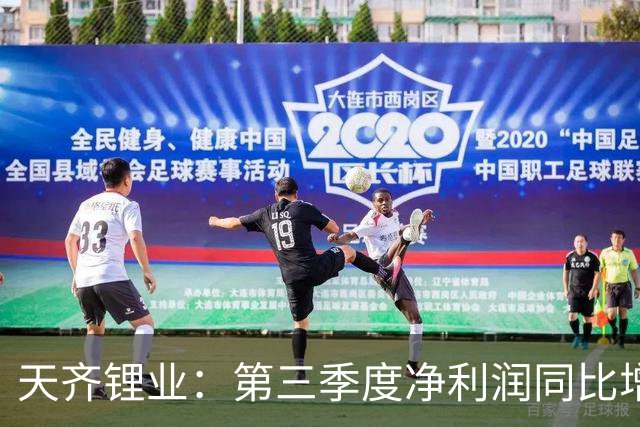 天齐锂业：第三季度净利润同比增长1324% 环比下降42%