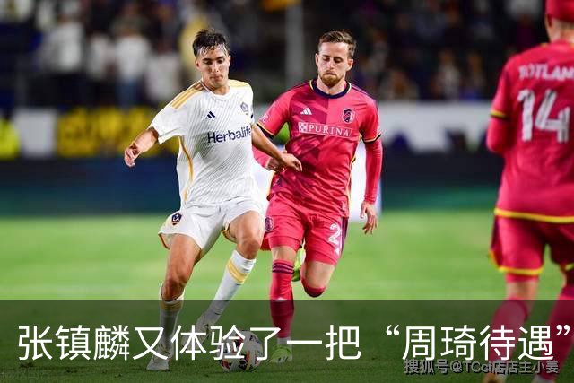 张镇麟又体验了一把“周琦待遇”！打15分钟打卡下班，躺赢真舒服