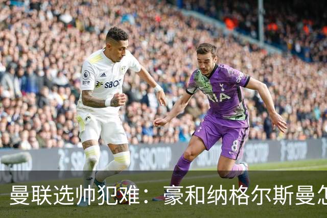 曼联选帅犯难：豪和纳格尔斯曼怎么选？答案藏在现有阵容里
