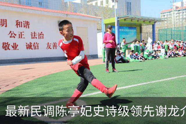 最新民调陈亭妃史诗级领先谢龙介，郑丽文竟成谢龙介最大绊脚石？