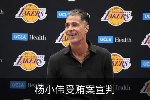 杨小伟受贿案宣判