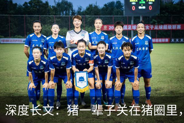 深度长文：猪一辈子关在猪圈里，为什么不会"憋疯"抑郁？其实它会