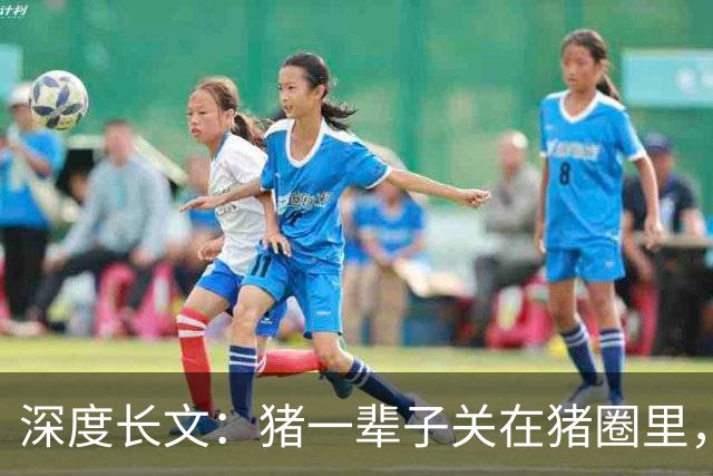 深度长文：猪一辈子关在猪圈里，为什么不会"憋疯"抑郁？其实它会