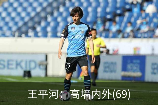 王平河：高墙内外(6/9)