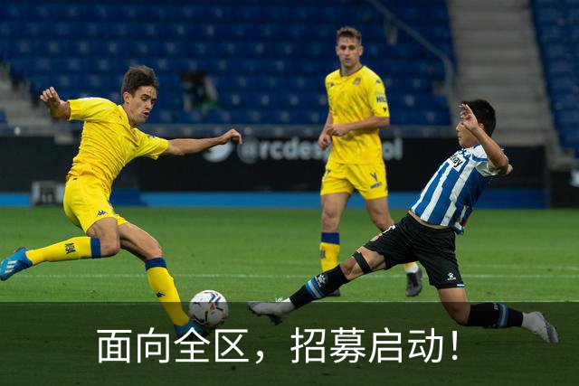 面向全区，招募启动！
