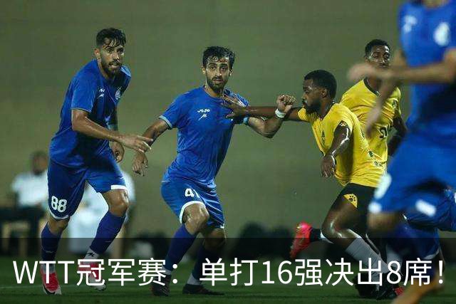 WTT冠军赛：单打16强决出8席！国乒大获全胜，林昀儒苦战5局逆转